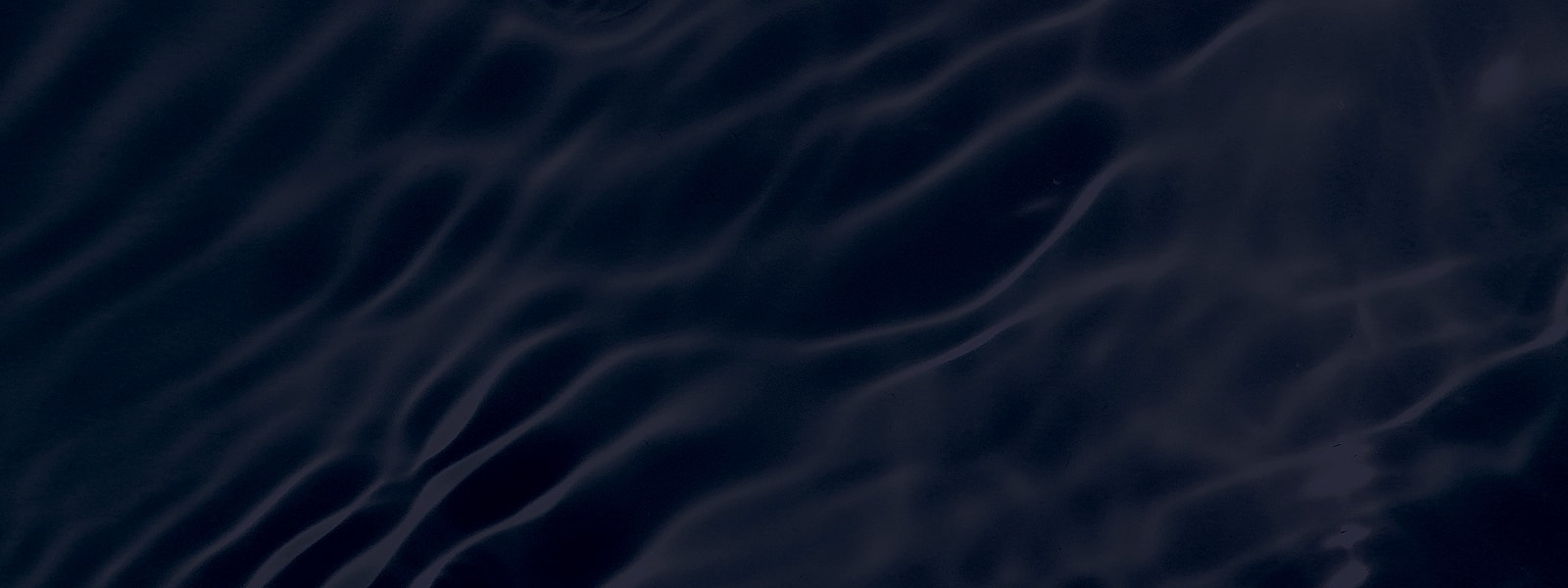 Dark water surface with gentle ripples.