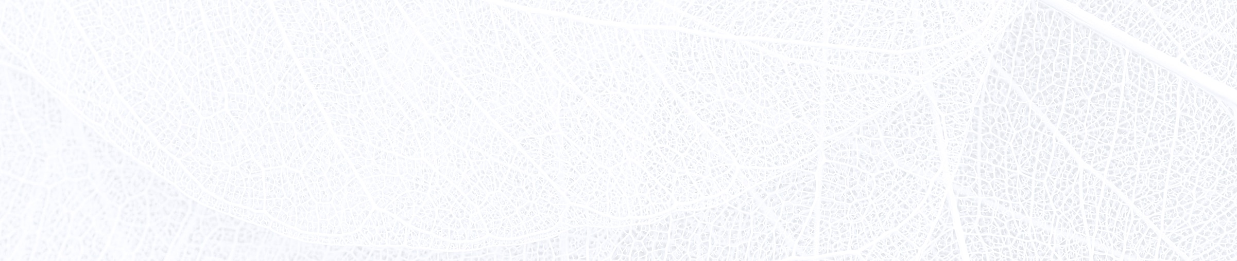 Translucent leaf texture with intricate veins.